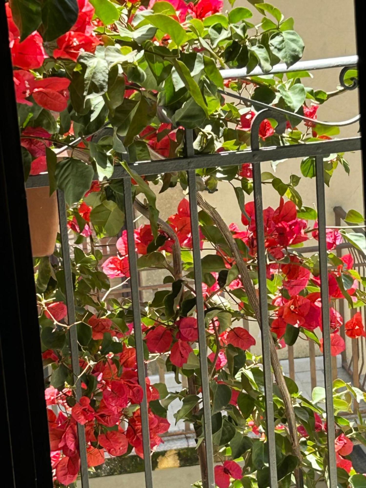 B&B L'Angolo Sulla Piazza Mirabella Imbaccari Buitenkant foto