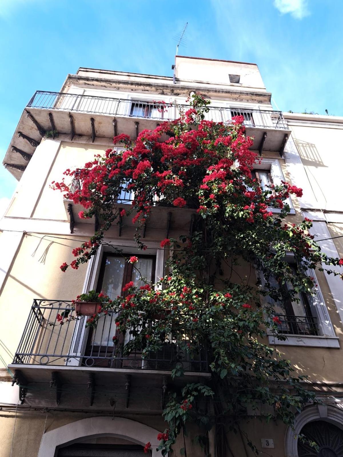 B&B L'Angolo Sulla Piazza Mirabella Imbaccari Buitenkant foto